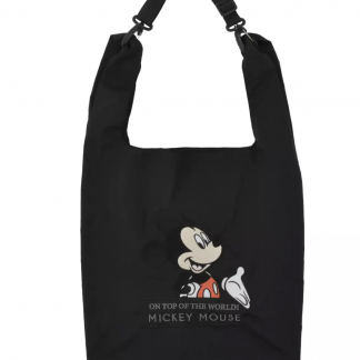 Disney 收納袋 預訂
